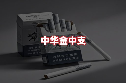 中华金中支